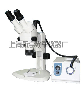 ���w�@΢�R��ͬ�S�⌍�w�@΢�R��SX-6