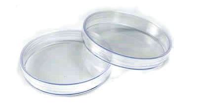 �������B(y��ng)��