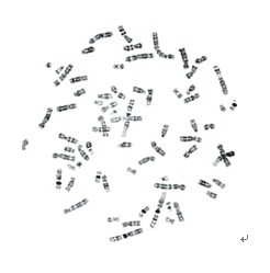 BandViewȾɫ�w�l������ϵ�y(t��ng)