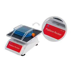 �[��С��NS-04��NS-05U